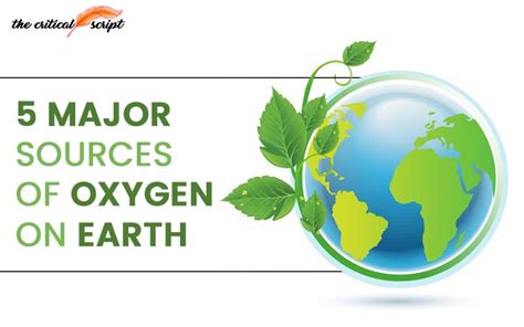 Oxygen cycle vector illustration in 2020 Oxygen, Earth processes, Cycle