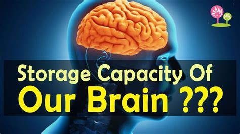 what is the maximum storage capacity of the human brain
