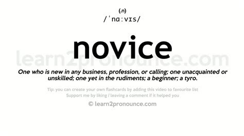 what is the meaning novice