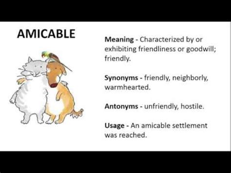 what is the meaning of amicable