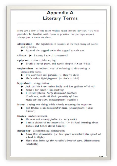 what is the meaning of appendix in a document