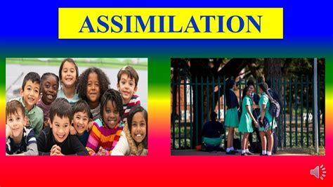 what is the meaning of assimilation