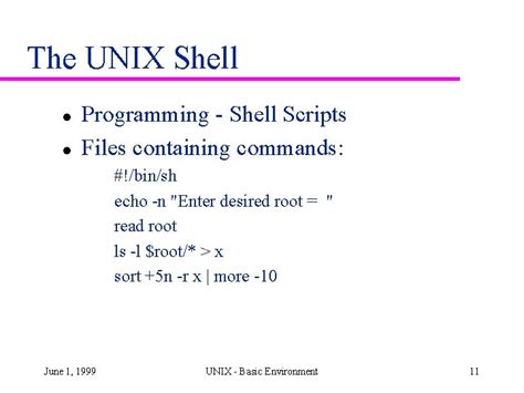 What Is The Meaning Of Bin Sh In Unix