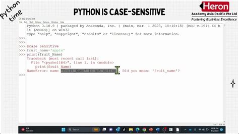 what is the meaning of case sensitive in python