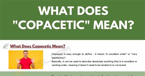what is the meaning of copacetic definition