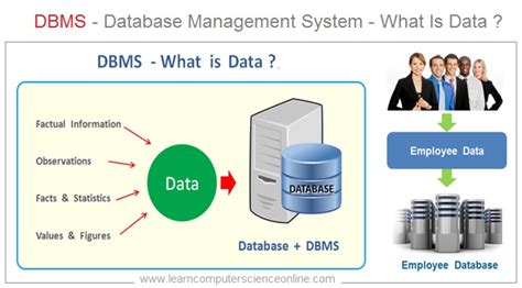 what is the meaning of dbms in computer