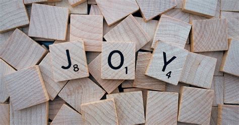 what is the meaning of god's joy