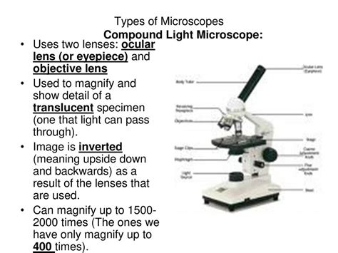 what is the meaning of objective lens in microscope