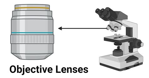 what is the meaning of objective lens in science