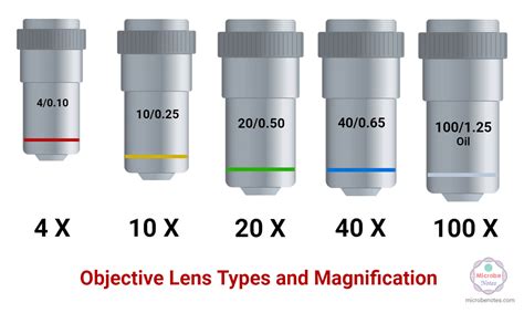 what is the meaning of objective lenses in microscope