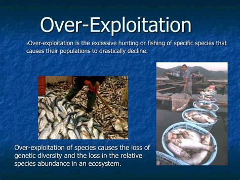 what is the meaning of over exploitation