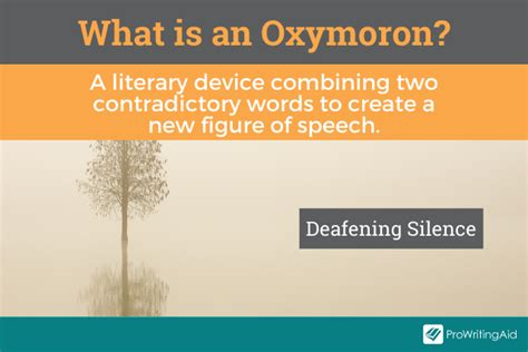 what is the meaning of oxymoron and two examples