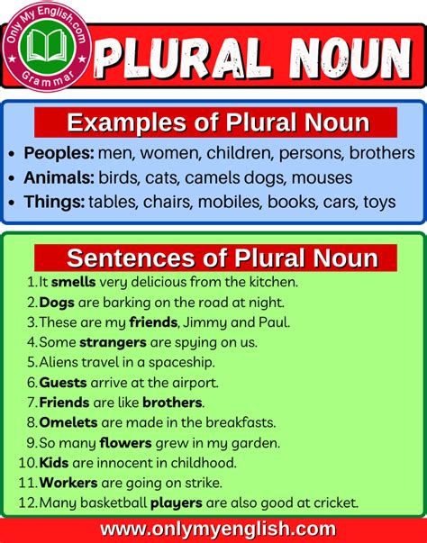 what is the meaning of plural noun