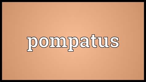what is the meaning of pompatus