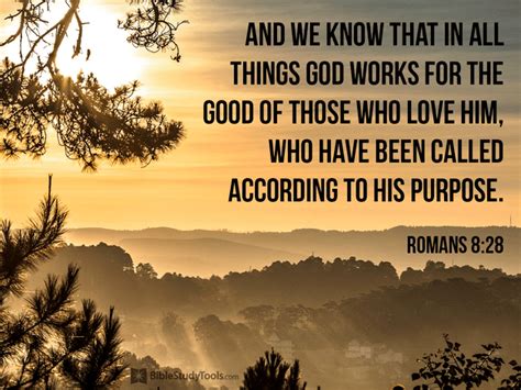 what is the meaning of romans 8:28