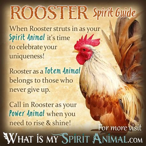 what is the meaning of rooster