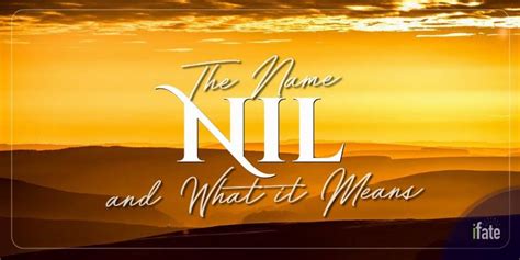 what is the meaning of the word nil