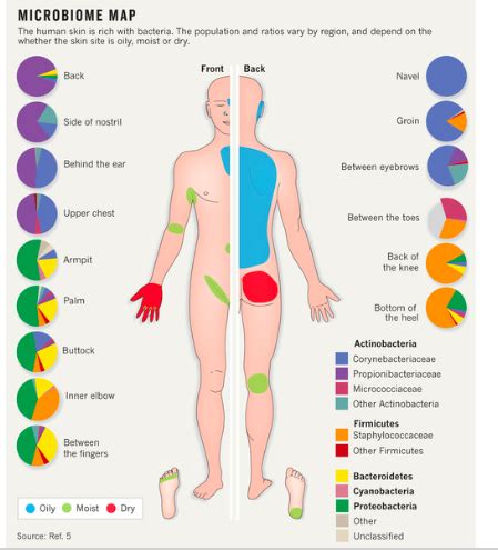 What Is the Gut Microbiome? And Why Should We Care About It? Gut