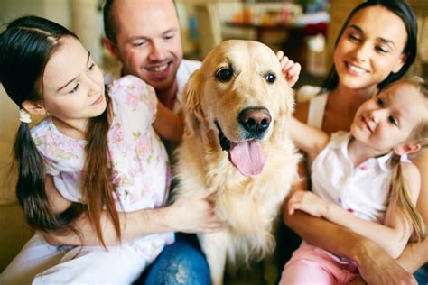 what is the most family friendly dog
