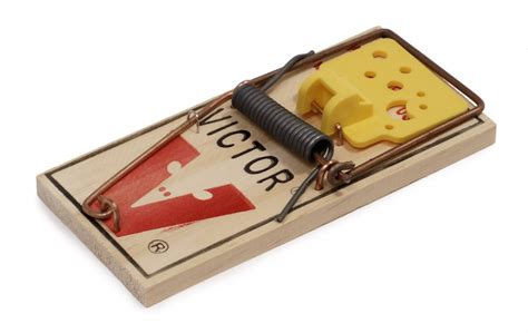 what is the mousetrap about