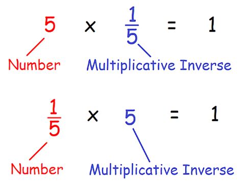 what is the multiplicative inverse of a number called