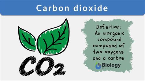 what is the nature of carbon dioxide