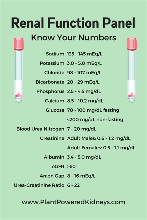 what is the normal range of renal function test