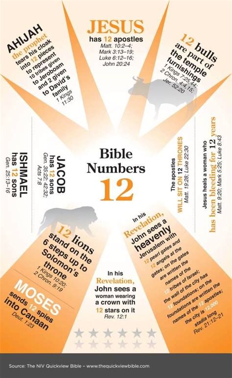 what is the number 12 in the bible