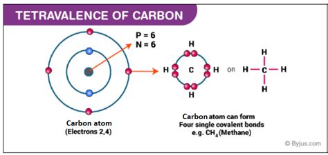 What Is The Number Of Electrons Shared In The Multiple Carbon Carbon