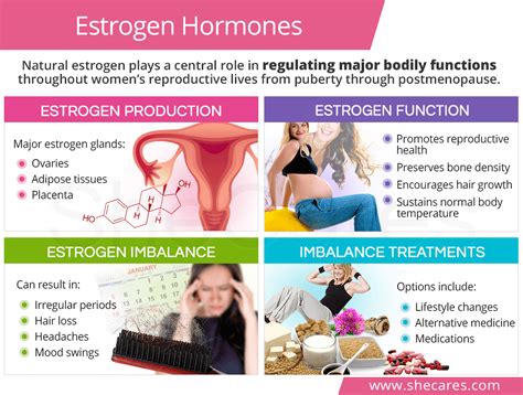 what is the oestrogen hormone