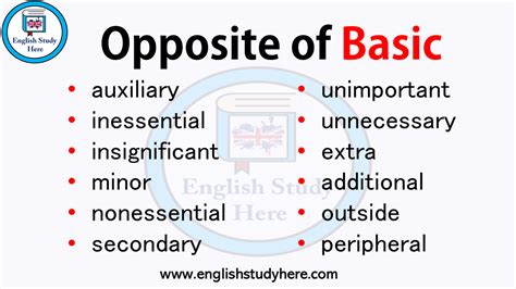 what is the opposite of basic or essential