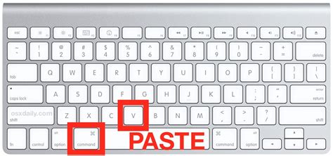 what is the paste command on a mac