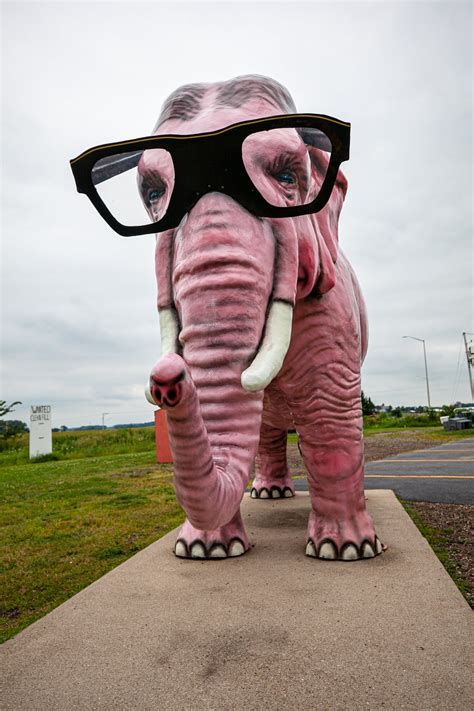 what is the pink elephant