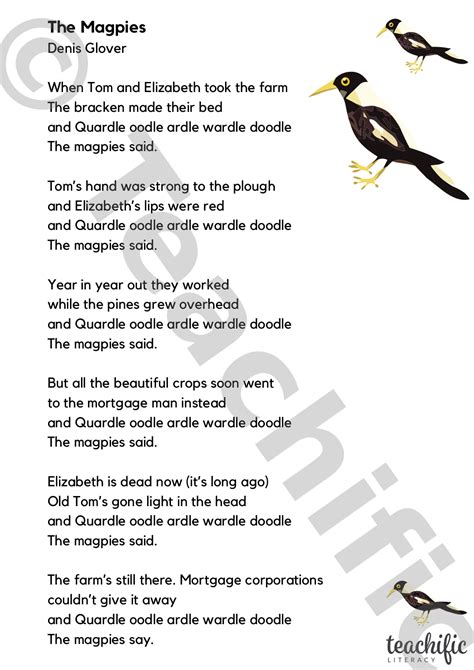 what is the poem about magpies