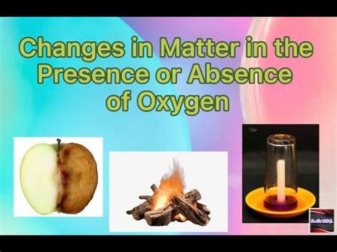 what is the presence and absence of oxygen