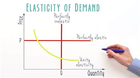 what is the price elasticity of demand can you explain it in your own words