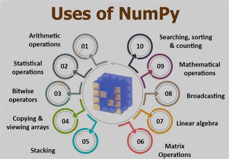 what is the primary data structure used in numpy for numerical computations
