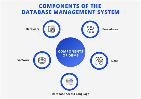 what is the primary function of database management software