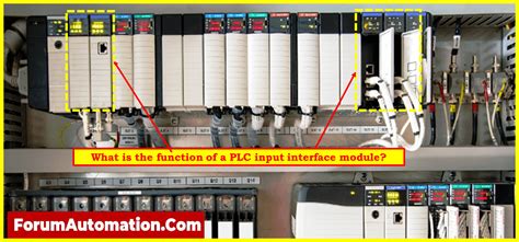 what is the primary function of the input module in a plc
