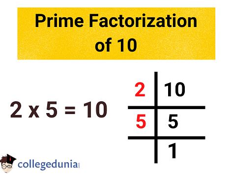 what is the prime factorization of 10