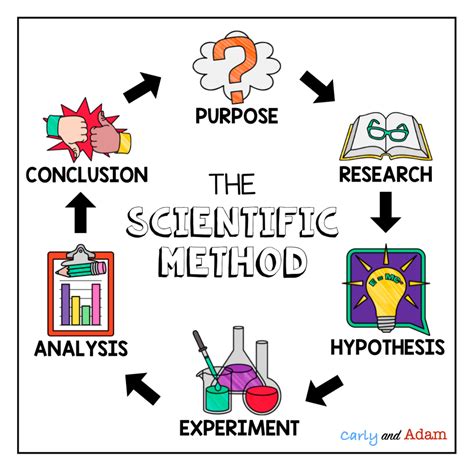 what is the process of the scientific method