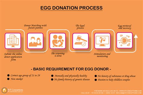 what is the process to donate eggs