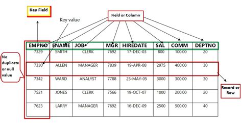 what is the purpose of a key field in a database