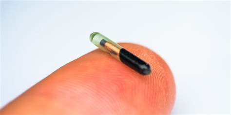 What Is The Purpose Of A Microchip In A Cat