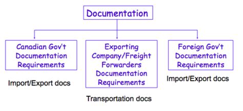 What Is The Purpose Of Documentation Quizlet