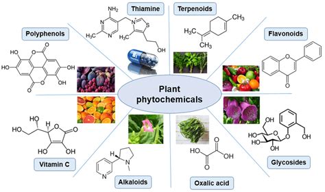 what is the purpose of phytochemical analysis