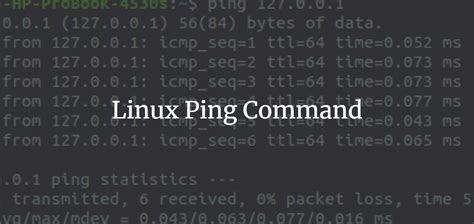what is the purpose of the ping command in network diagnostics