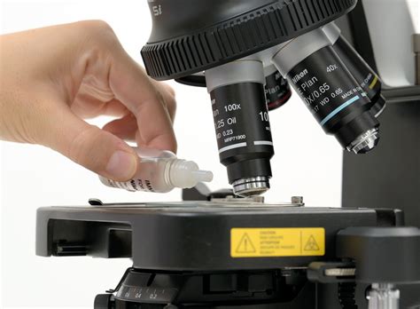 what is the purpose of using immersion oil in microscopy