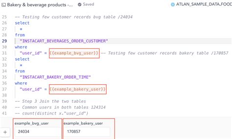 what is the purpose of using parameterized queries in database interactions