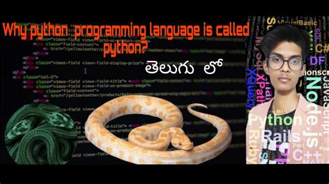 what is the python programming language get its name